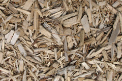 biomass boilers Kinnaird